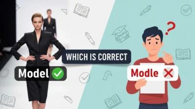 Model or Modle